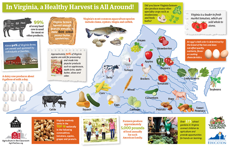 Healthy Harvest Map