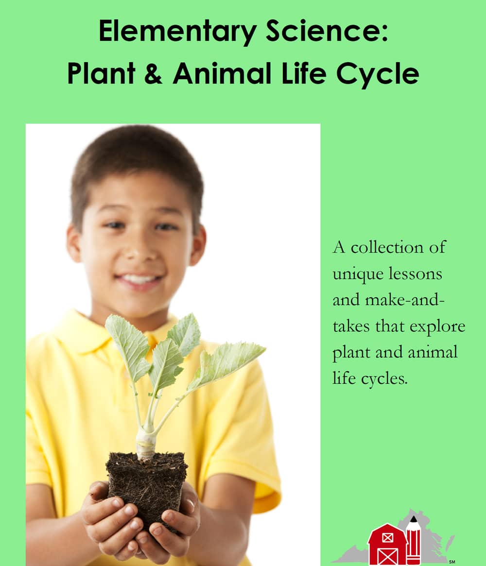 Elementary Science: Plant & Animal Life Cycle