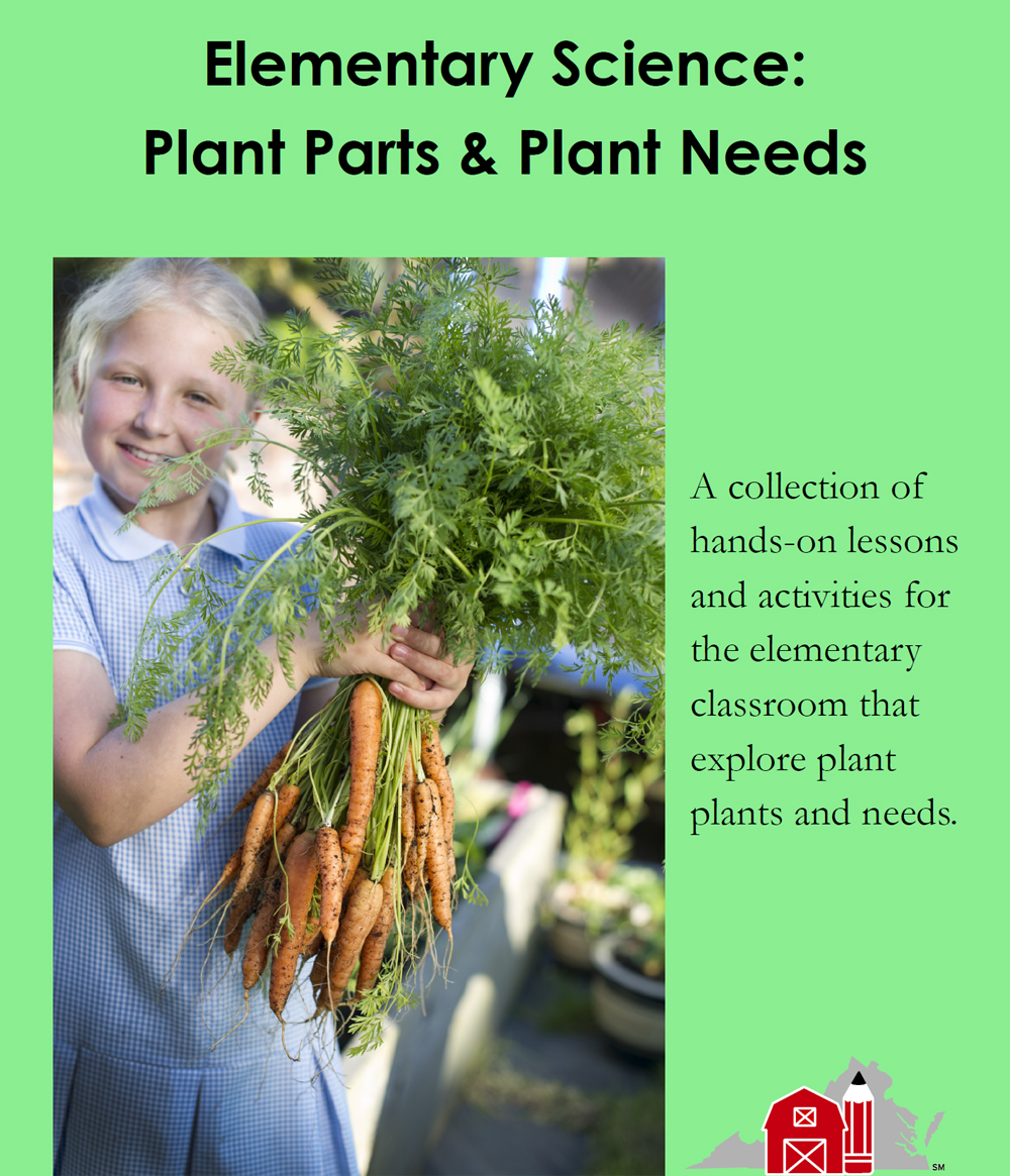 Elementary Science: Plant Parts & Plant Needs