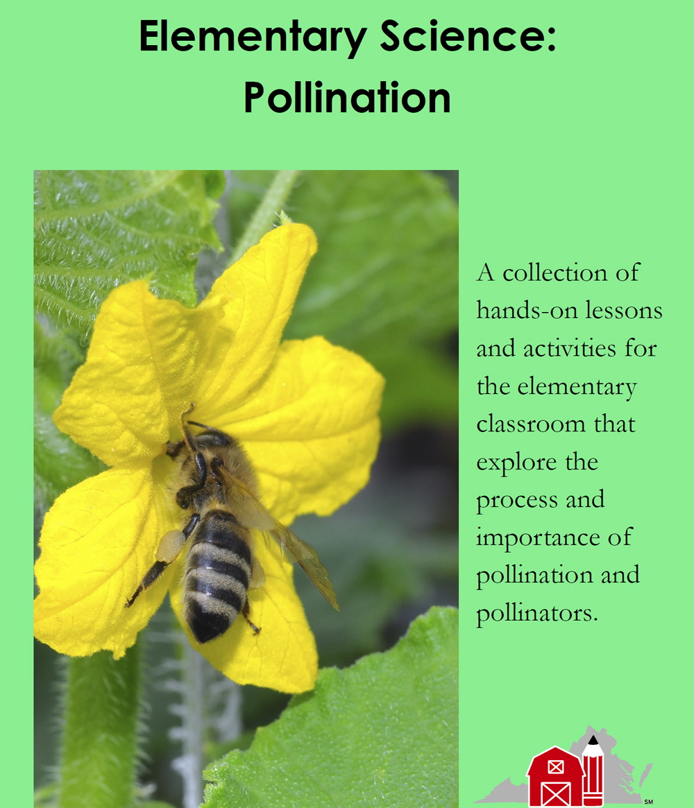Elementary Science: Pollination