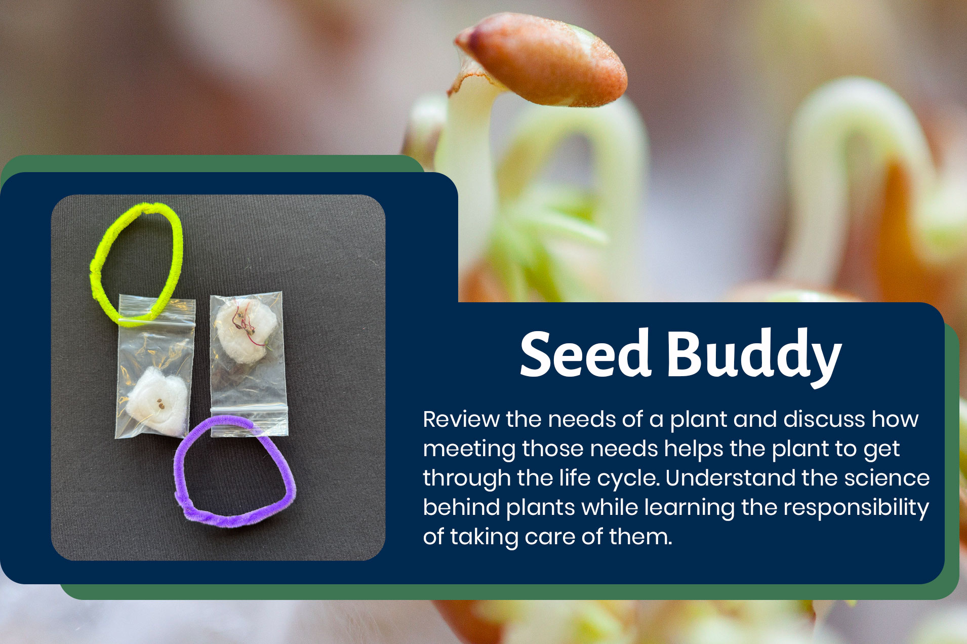 Seed Buddy